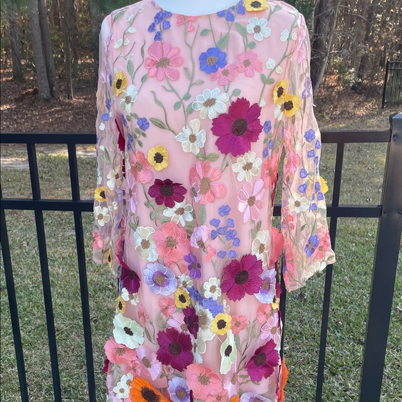 Storia Sheer Dress with Full Length Liner and Floral Embroidery - Picture 4 of 13